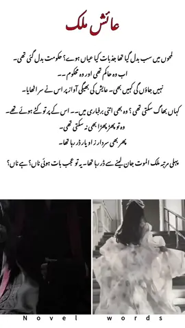 ❤️‍🩹🕊️#novelwords📚🥀 #ramzejanoonbynoorasif #grovemyaccountpleastiktok👈 #repostedmyvideoplzz🙏🥹 #forupageシ 