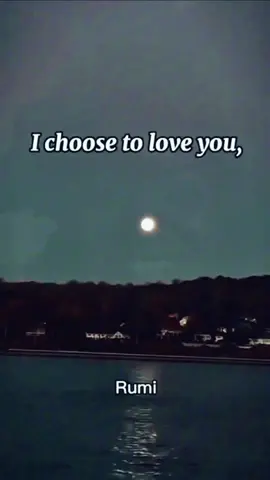 #CapCut #abbasiimtiaz I choose to Love you in silence...  For in silence I find no rejection. ~ Rumi     #rumi #madeyouatemplate #foryou         