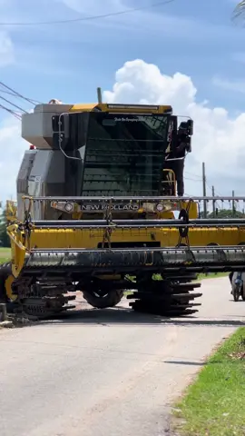Buka padang 2025 musim 2 🌾🌾💚💛⚡️🤲#gengsyed #newholland #1545 #gengmesinpadi #newholland1545 #newholland8060 #fyp @SYABIL⚡️ @Paksu Krie @سيد عمزار بينشهاب 🕊️ @〽️UHAMMAD @H🅰️KI〽️ @modern farmer @SAZ_MODERN 