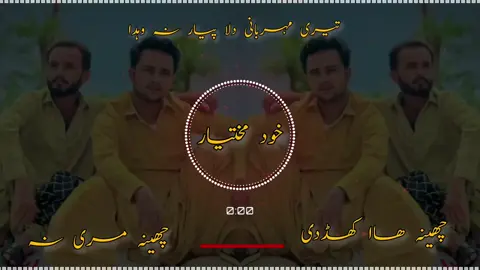 تیری مہربانی دلاں پیار نہ وہدا#چھینہ #فل #سونگ@kaleem302 