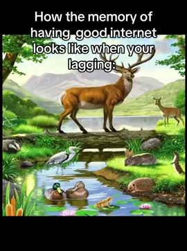 Reminiscing #nature #real 