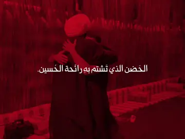 علي المياحي 🫶🏻 . #علي_المياحي #حضن #زائر #توبه #الامام_الحسين_عليه_سلام 