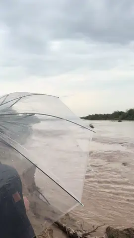 #جازان 