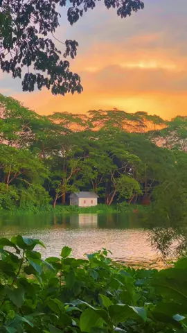 সমাপ্তি আর সূচনার রেখা আসলে একই ,শুধু দৃষ্টিভঙ্গিই ঠিক করে আমরা তাকে হারানো বলব, নাকি নতুন জন্ম…………#foryou #foryoupage #fyp #nature #tiktok 