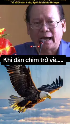 #duet cùng @🇻🇳NVĐ 🇻🇳 #Viral #thanglongtv #minhtientltv 