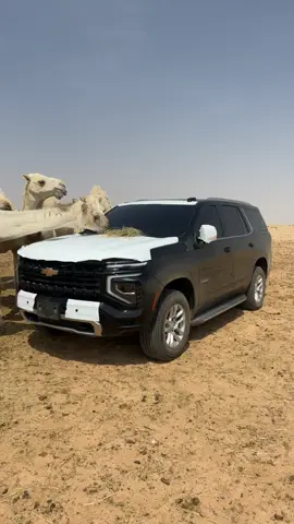 #تاهو #الدوادمي #وصخ_دنيا #الشعب_الصيني_ماله_حل😂😂 #M 