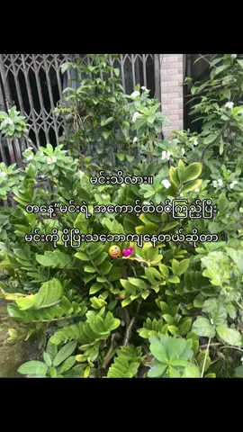 မသိချင်ယောင်ဆောင်ဖို့ပဲ သိတာမလား🙄💞 #foryou #fyp 
