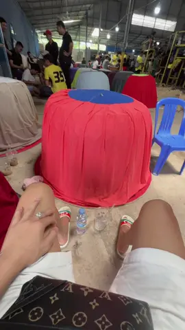 Nay Đông vuii quá hén!.😂😂#xuhuong🥰❤️tym 