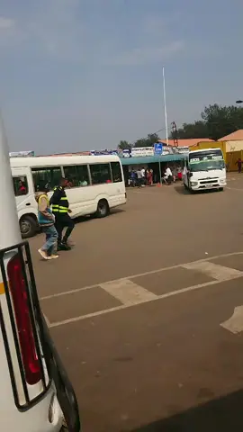aha ni murigare habahahiye kok 