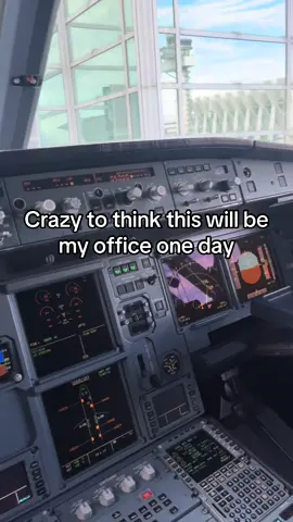 Actually I hope it’ll be an A350 #pilot #studentpilot #cockpit #pilotsoftiktok #a319 