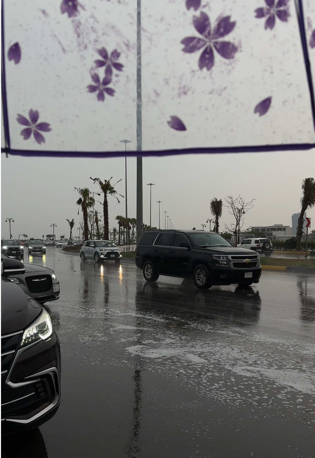 جازان اليوم🥹🌧️ #جازان #مطر #viral #fyp 