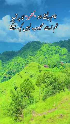 #beautyofkashmir❤️🥰 views problems😭😭 unfreeze my account and video viral please TikTok 500k views ✌️✌️✌️🙏🙏🙏🙏🙏🙏