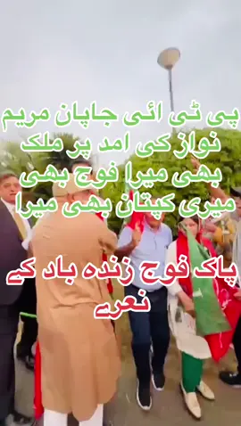 #japan🇯🇵 #pakistan🇵🇰 #pti #murshad #