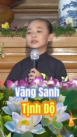 Vãng Sanh Tịnh Độ - a di đà phật #cuocdoiducphat #phatphapnhiemmau #adidaphat #phatphap #tranding @Phattu89 