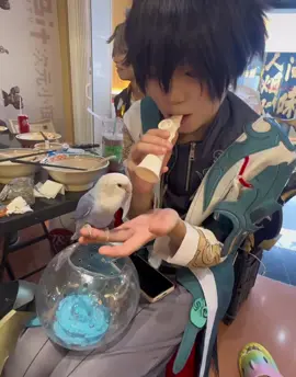 🗣️🗣️🗣️ #HonkaiStarRail #danheng #danhenghonkaistarrail #danhengcosplay #robinhonkaistarrail 