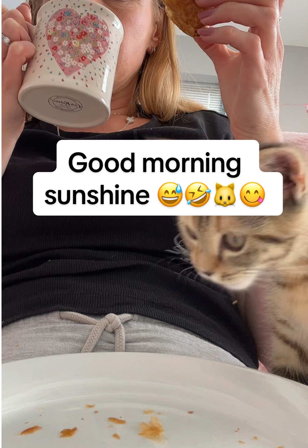 It’s like a battle 🤣🤣 #kitten #kittensoftiktok #kittenlove #kittentok #uk 