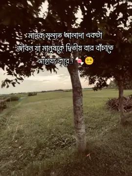মাদক মূল্যত আলাদা একটা  জীবন যা মানুষকে দ্বিতীয় বার বাঁচাতে  সাহায্য করে..!🍬😵‍💫 #viral #foryou #fyp #trending  #tiktok @For You @TikTok 