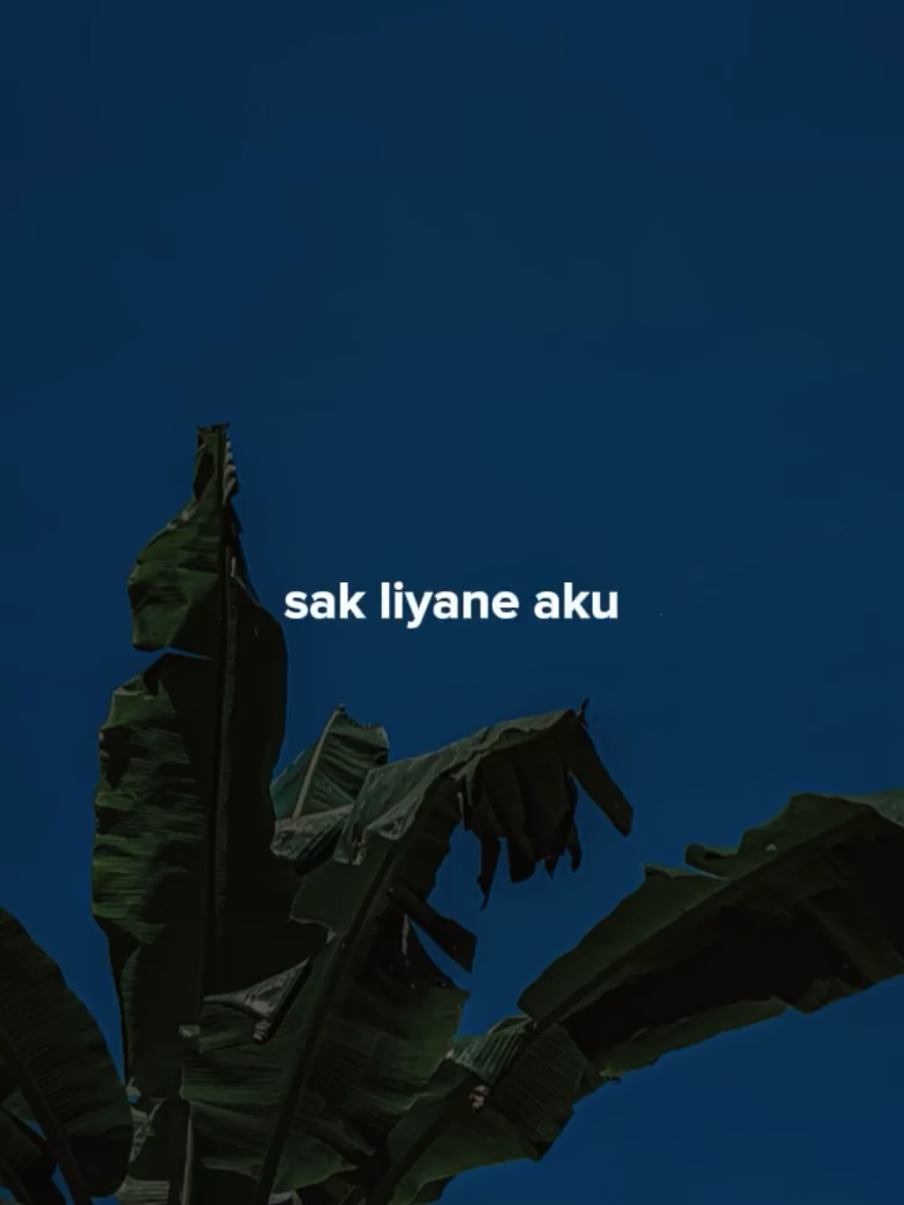 saktenane x lamunan #CapCut #liriklagu #templatelirik #overlay 