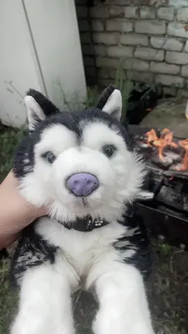 Старое видео #Опасный #пдб #dog #Leosco #toy 