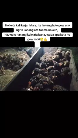 Wada apa bail danong mose hoo gew Mori😢😢 #nttpride🏝🔥  #manggarai_flores_ntt  #jangkauanluas  #tiktokviral  #fyppppppppppppppppppppppp 