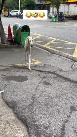 🤣😂