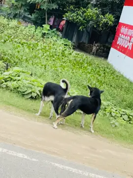 😑🥴#foryoupagе #bdtiktokofficial🇧🇩 #vairalvideo #fryyyyyyyyyyy #view 