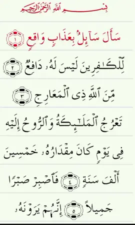 #quran #rap #foryoupage❤️❤️ #islamic_video #fyp 