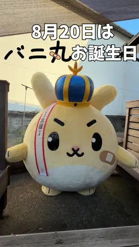 【踊ってみた】お誕生日会でバニ丸が最近ハマっているダンスを披露してくれました💃 #バニ丸誕生日おめでとうバニ #バニ丸 #横浜バニラ 