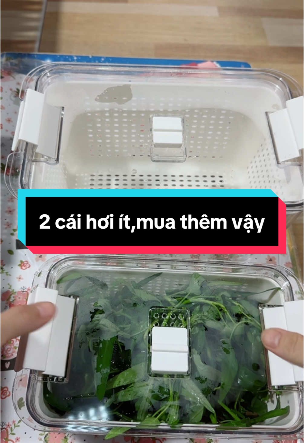 #hộp đựng thực phẩm có nắp đậy#ngăn mùi thức ăn ám vào tủ lạnh và ngược lại 