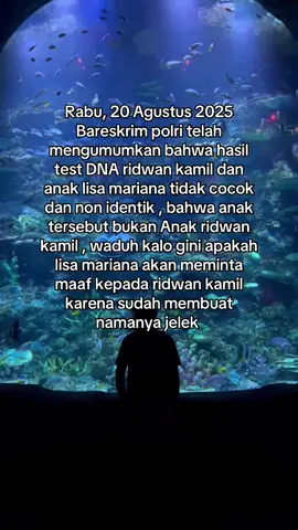 #lisamariana #ridwankamil 