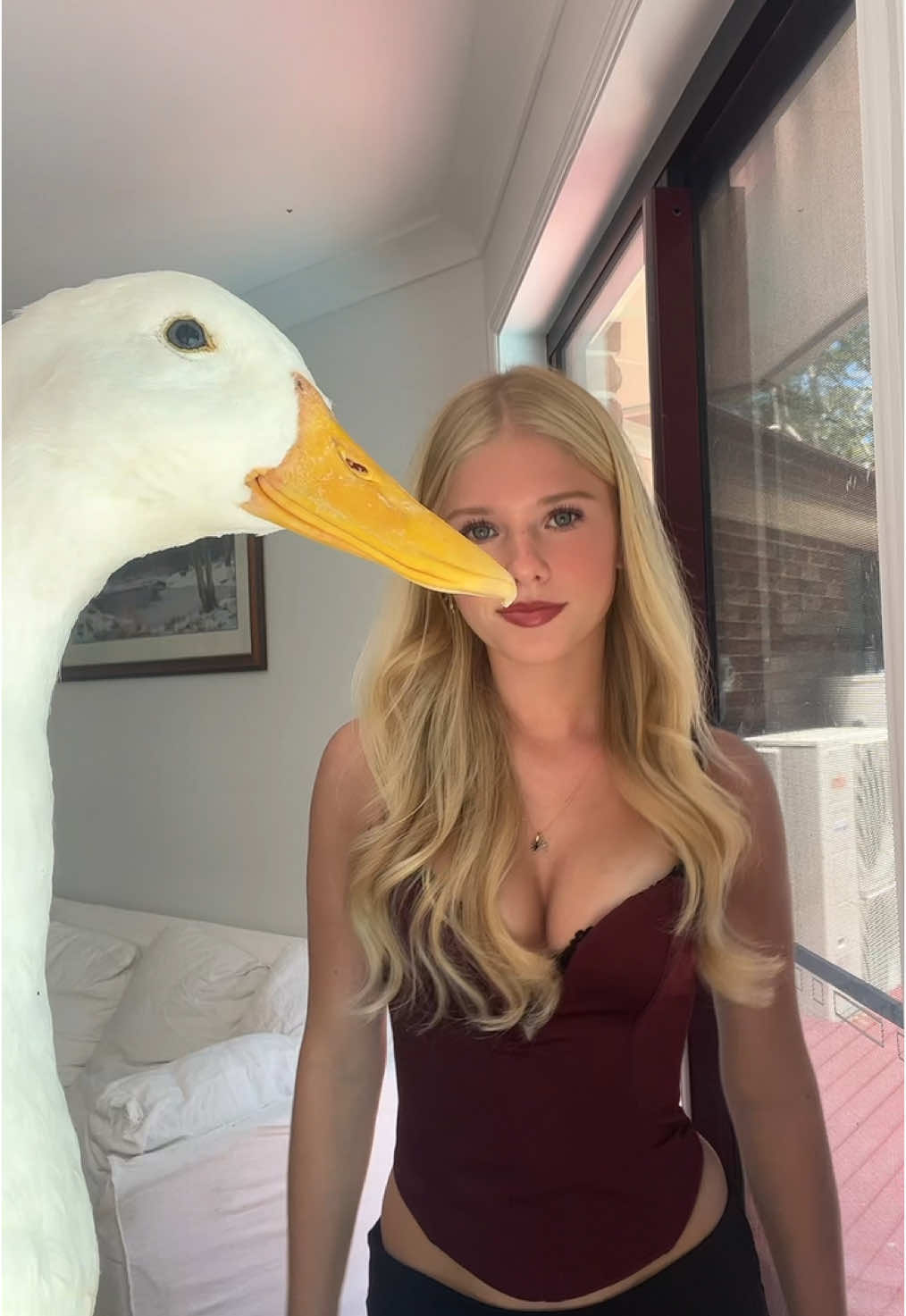 ducky #duck 