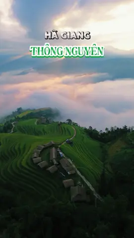🌾 “Lạc bước giữa biển mây Hà Giang – nơi đất trời gặp nhau”#HàGiang #ThongNguyen #fyp#checkinvietnam #VietnamTravel  