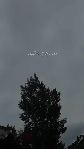 کیا یہ سچ ہے ۔۔؟ #poetry #status #foryoupageofficiall 