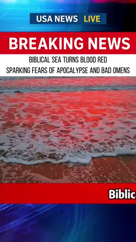 #redsea #viralnews #news #discovery #breakingnews #foryou #fyp 