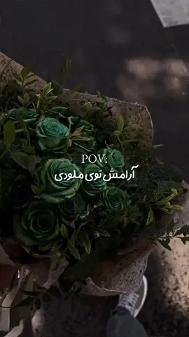 عالیجناب عشق! #farsisong #lyrics #lyricsvideos #fyp #persian 