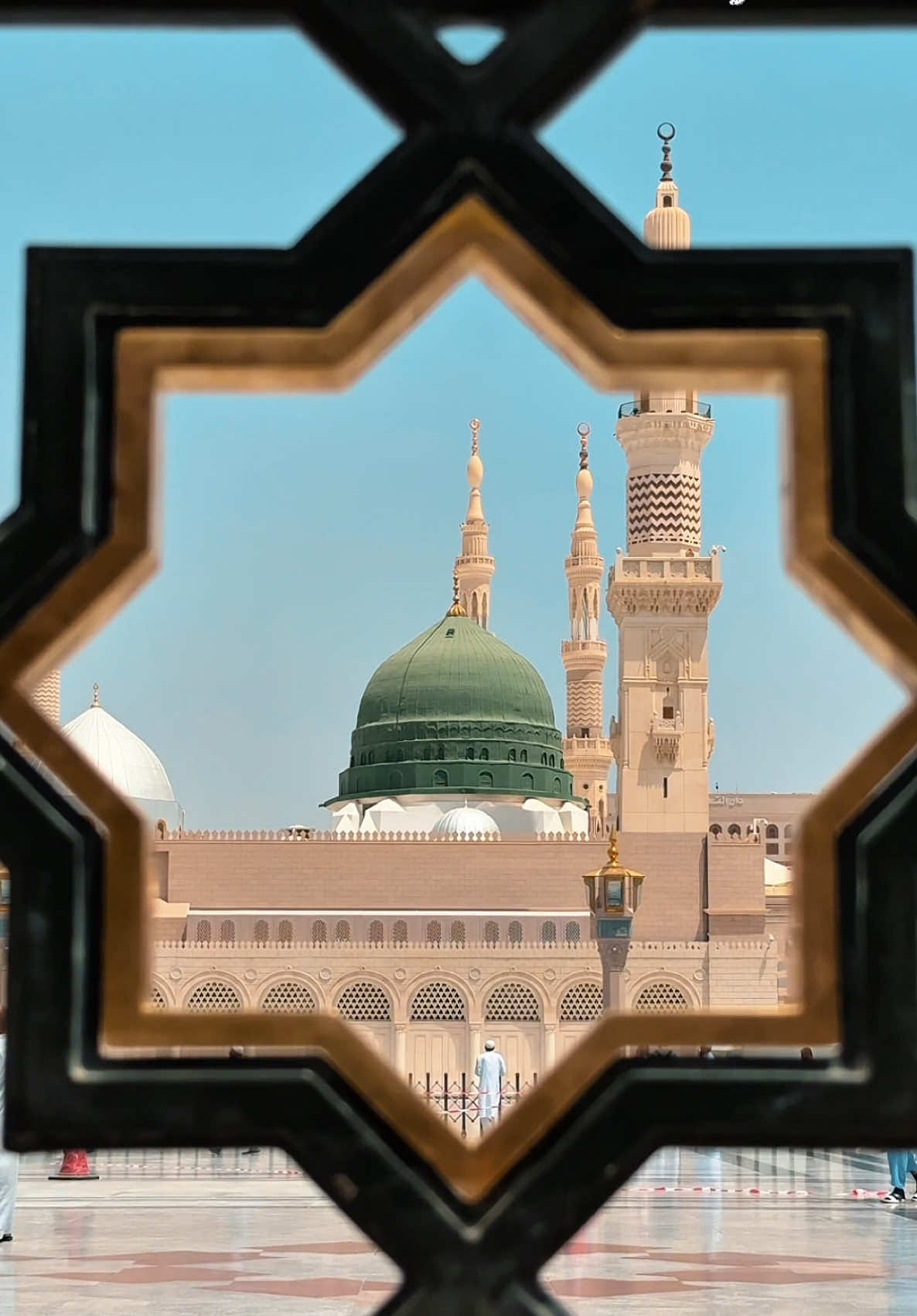 ليتَ عمري فداءٌ لك يا أبتاه، فبعدك لا طَعمَ للدنيا، وعلى الكون من بعدك السَّلام #قناة_كربلاء #الرسول_الأعظم