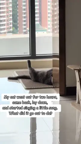 I suspect he went to see his girlfriend...#cute #funny #cuteanimals #cat #petlife   