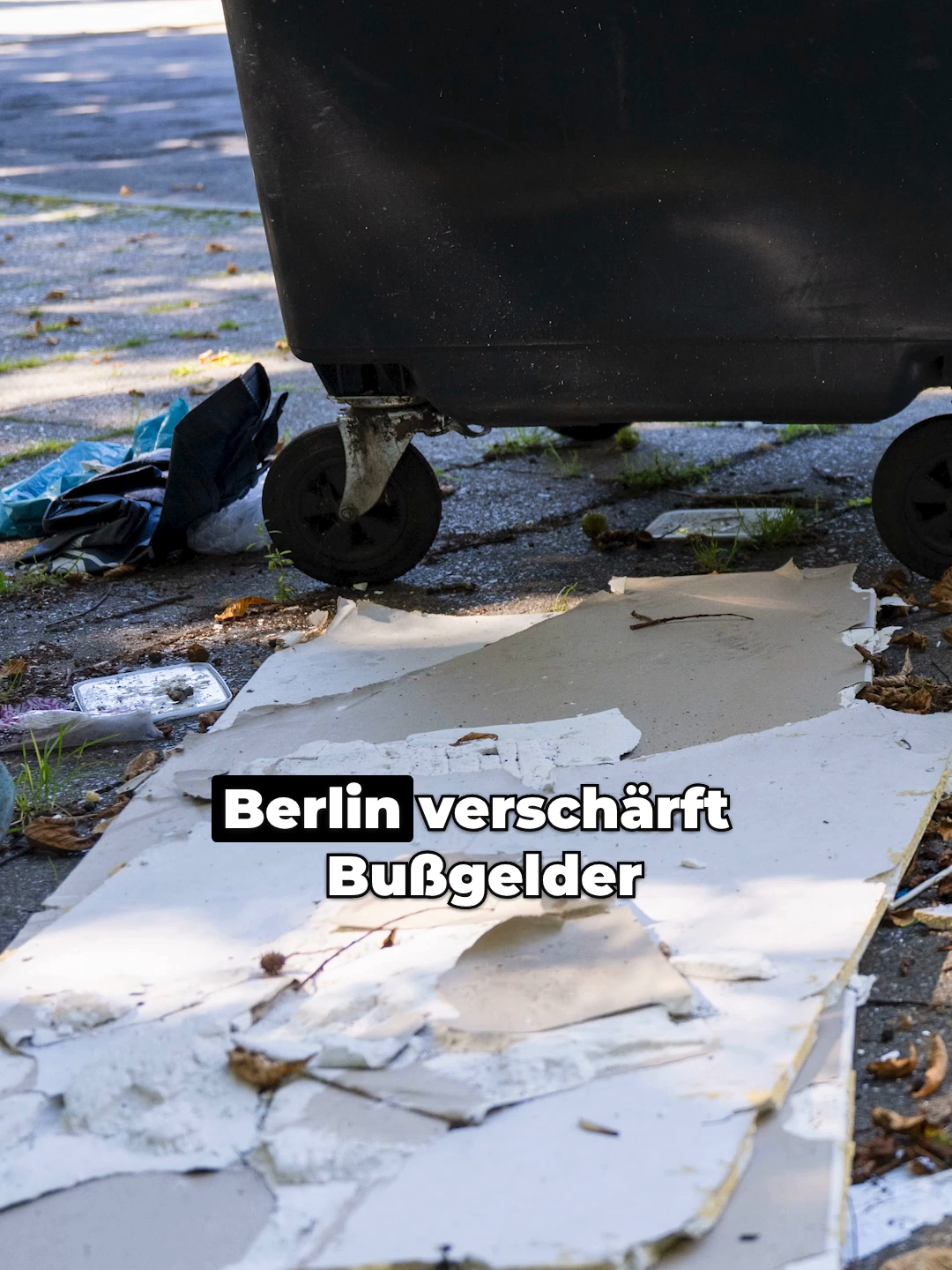 Berlin verschärft Bußgelder für Umweltverstöße! 🚨   Bis zu 85.000€ Strafe! 💰   Wird das Müllproblem endlich gelöst? 🤔   #Umweltschutz #Berlin #Bußgelder #Müllproblematik #SaubereStadt #Nachhaltigkeit #Umweltbewusstsein #Ordnungsgemäß