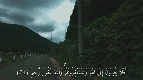 أَفَلَا يَتُوبُونَ إِلَى ٱللَّهِ وَيَسۡتَغۡفِرُونَهُۥۚ وَٱللَّهُ غَفُورٌ رَّحِيمٌ (سورة المائدة) #القارئ#ماهرالمعيقلي#قران#quran  #اكتب_شي_توجر_عليه 