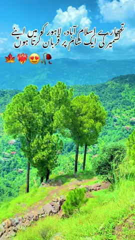#beautyofkashmir❤️🥰 views problems😭😭 unfreeze my account and video viral please TikTok✌️✌️🙏🙏🙏🙏🙏🙏