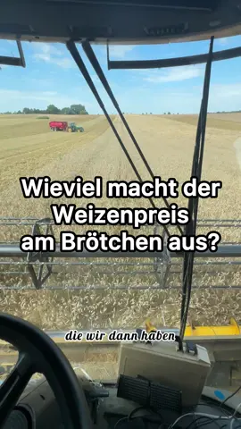 Wieviel macht der Weizenpreis an einen Brötchen aus? #landwirt #landwirtschaft #ernte #weizenpreis 