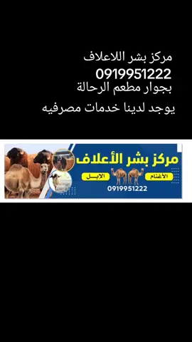 #بشر #البريقه🔥🇱🇾 #اجدابيا #راس_لانوف #بنغازي 