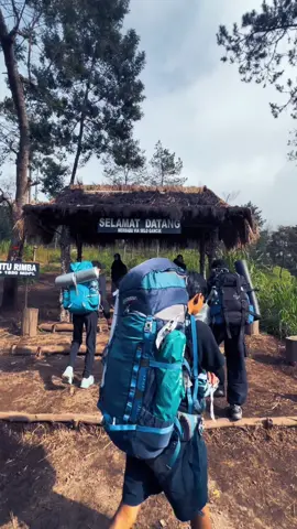 #fyp #gunung #gunungmerbabu #fyyyyppppppp #pendakigunung 