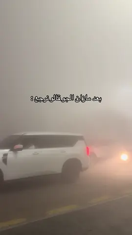 #الباحه #ضباب #غابة_رغدان 