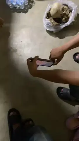 penemuan tengkorak manusia di nuansa bagan batu Riau #fypシ゚viral #fyp 