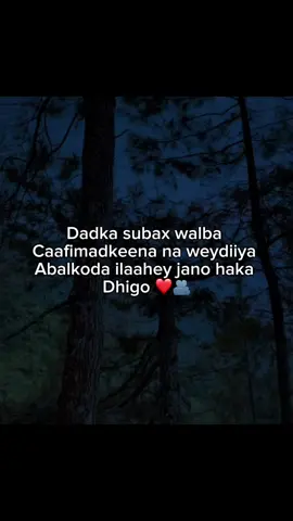 Jano ka dhige🫂#soomaali_tiktok🇸🇴🇸🇴 #fyppppppppppppppppppppppp #capcut 