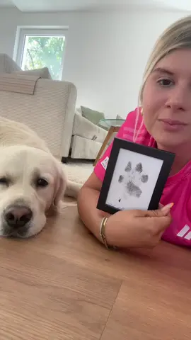 Werbung: Wie süß sind diese Pfotenabdrücke??😭😍 #hund #goldenretriever #pfote #pfotenabdruck #geschenk #hundebesitzer 