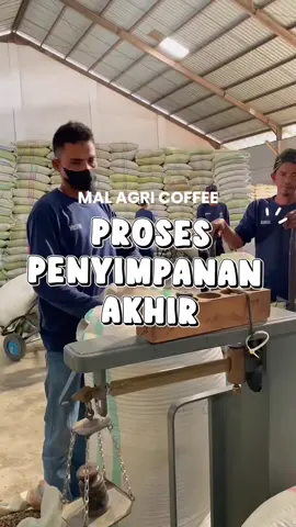 Setiap green bean yang kami simpan bukan sekadar stok, tapi investasi rasa. Dengan kontrol kelembapan, kadar air, dan batch yang rapi, kami pastikan konsistensi kualitas tetap terjaga sampai ke tangan Anda. Bagi roaster, distributor, maupun eksportir—kami siap menjadi mitra tepercaya dalam menyediakan green bean Arabika berkualitas. Mari bangun kerja sama untuk menghadirkan cita rasa terbaik ke lebih banyak cangkir.  #MalAgriCoffee #GreenBeanArabika #SpecialtyCoffee #KopiIndonesia #CoffeeSupplier 