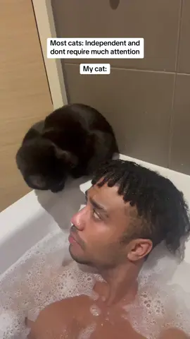 is this right? #cat #cats #catlover #catsoftiktok #fyp          