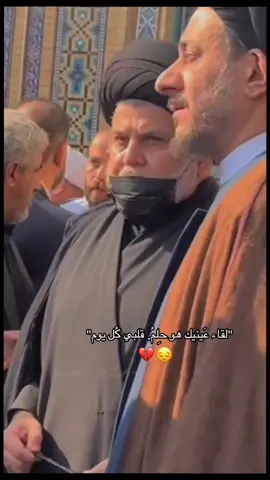 #سرايا_السلام_حماة_الوطن🇮🇶🇮🇶 #سرايه_السلام_سيد_مقتدى_جيش_المهدي_العراق #كربلا #مدينتي #العشق 